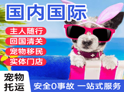 滨海机场物流国际宠物托运 【国